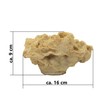 Rock/Stone, 16 x 9 x 9 cm, Sea Water Reef