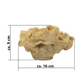 Rock/Stone, 16 x 9 x 9 cm, Sea Water Reef Rock, Aquarium Decoration Replica