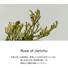 Abib Jericho Rose Pha Toner Skin Booster Tnico Coreano 200m Sensible Danoche                                                                          