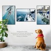 Plexon 24x36 Poster Frame, Large Picture Frame for Wall, Black