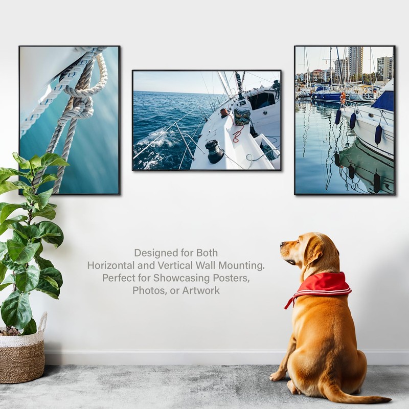 Plexon 24x36 Poster Frame, Large Picture Frame for Wall, Black