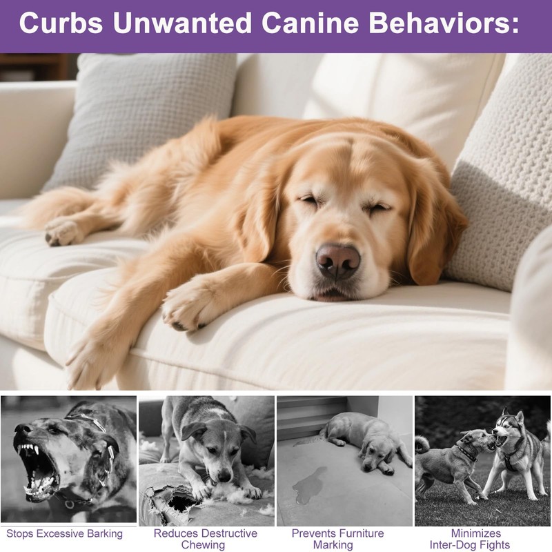 Flyjobs Dog Pheromone Calming Diffuser for Dogs, 4×48ml Refills &