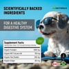 New! miNATURALS Premium Organic Pumpkin Powder Supplement Blend For Dogs,