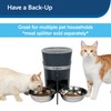 PetSafe Stainless Steel Dog and Cat Bowl, Grey, 5 Cup