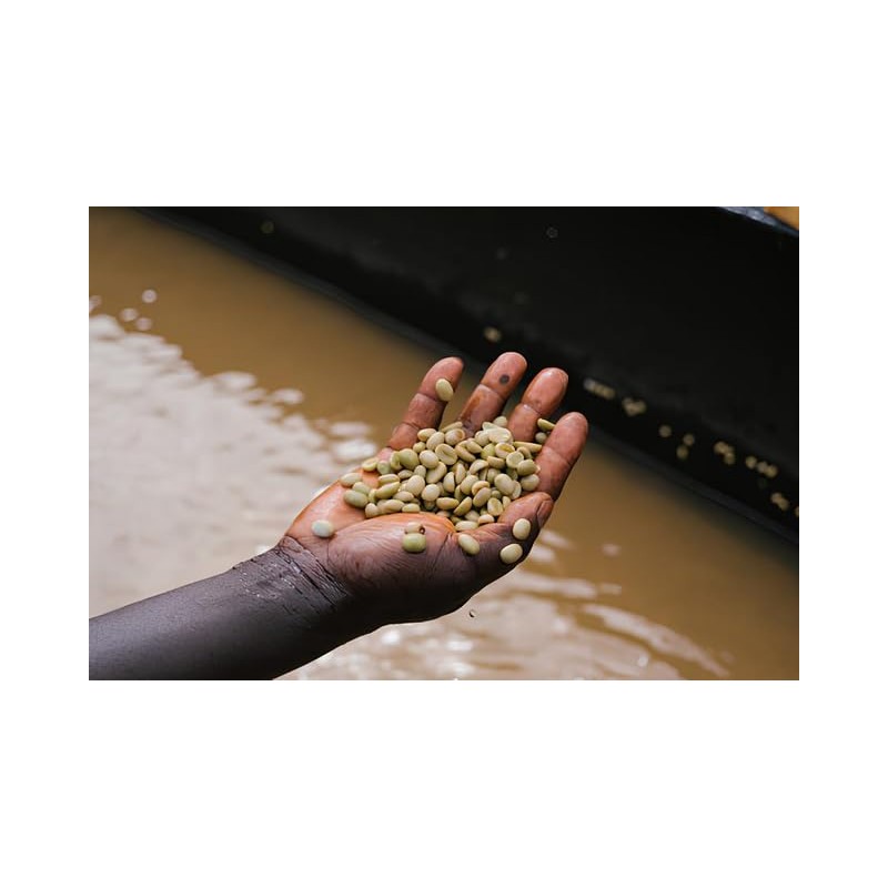 Onyx Coffee Lab Monarch Whole Bean Espresso Coffee Blend –