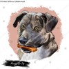 Mountain Cur Dog isolated digital art illustration. Hand drawn dog