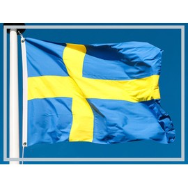 Aricona Sweden Flag, Swedish National Flag with Brass Eyelets, 90 x 150 cm, Weatherproof Flags for Flagpole, 100% Polyester