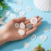 FASHEWELRY 22pcs Natural Freshwater Shell Charms Flat Sea Shell Pendants