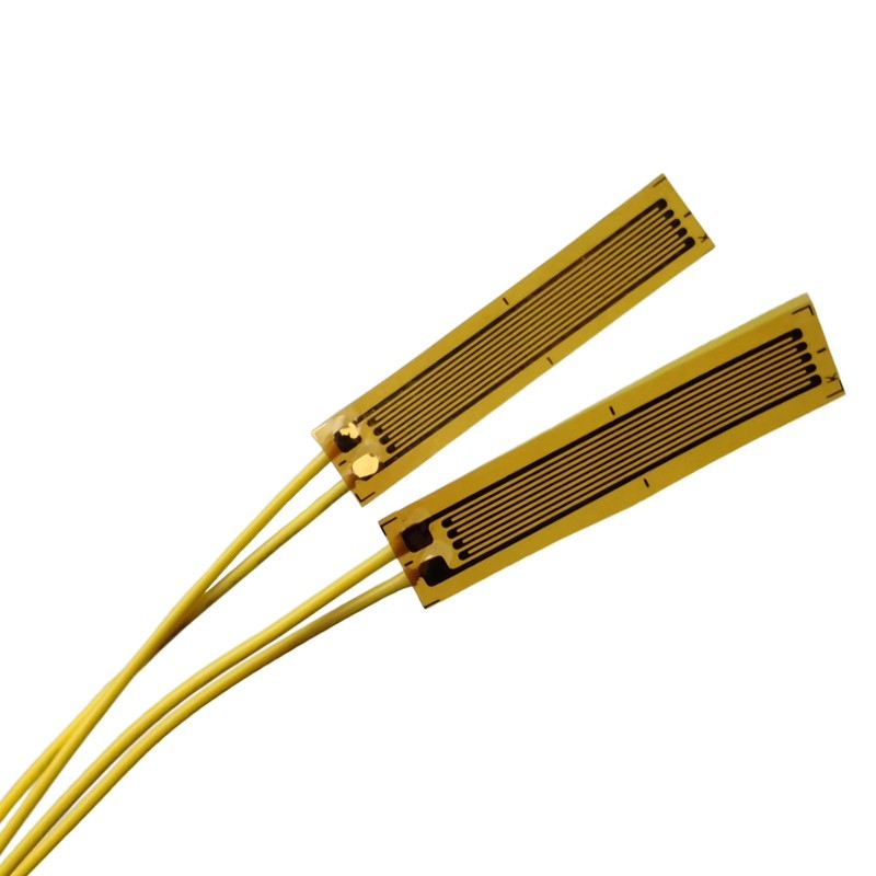 Strain Gauge Used in Mechanics Experiment for Material, Industry or