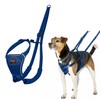 HALTI No Pull Harness - To Stop Your Dog Pulling