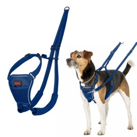 HALTI No Pull Harness - To Stop Your Dog Pulling on the Leash. Adjustable, Lightweight and Easy to Use. Reflective Dog Training Harness for Toy and Small Dogs (Size XS, Cobalt Blue)