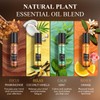 Essential Oils Roll On Set (Pack of 8) 8 Scent,