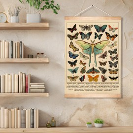 Vintage Butterfly and Moth Poster, 14x18.5 Inch Insects Identification Chart, Retro Butterfly and Moth Illustration Print, Nature Aesthetics Canvas Hanging for Classroom, Study,School Library Decor(Beige)