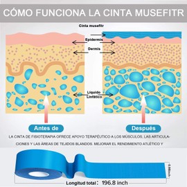 Cintas de Kinesiología, Cinta para Muscular Proteccion 6 Rollos, Cinta Respirable Deportiva, Terapéutica de Kinesiología Profesional, Proporciona Apoyo para Músculos & Articulaciones, Hombros*6