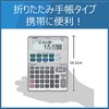 Casio Financial Calculator