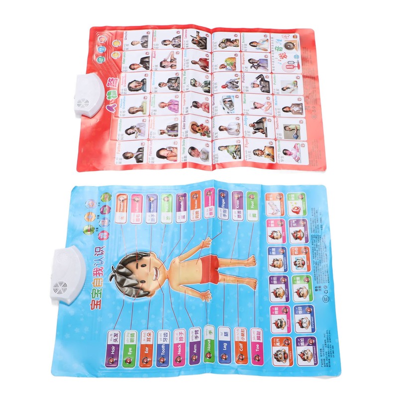 2pcs Chinese English Phonics Posters Multipurpose Fun Early Education Self