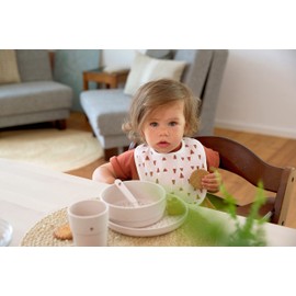 LÄSSIG Baby Toddler Bib Set (5 Pieces) Velcro Cotton Waterproof / Value Pack Bib Little Forest Rabbit