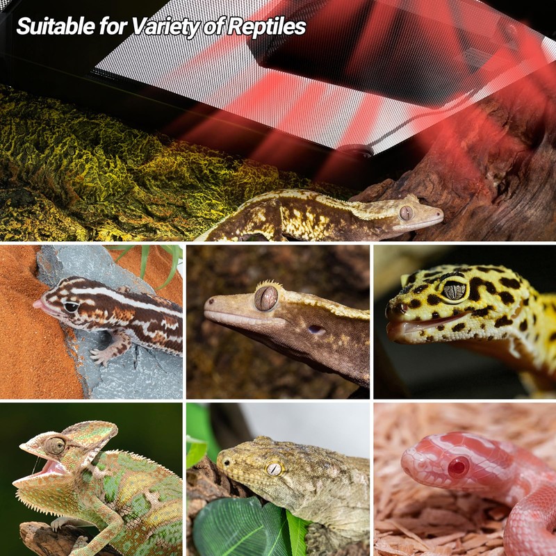 REPTI ZOO Reptile Heat Panel Adjustable Temperature Reptile Heating Plate,