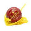 PSE Leather Practice Hanging Cricket Ball, Size Standard, (Red)