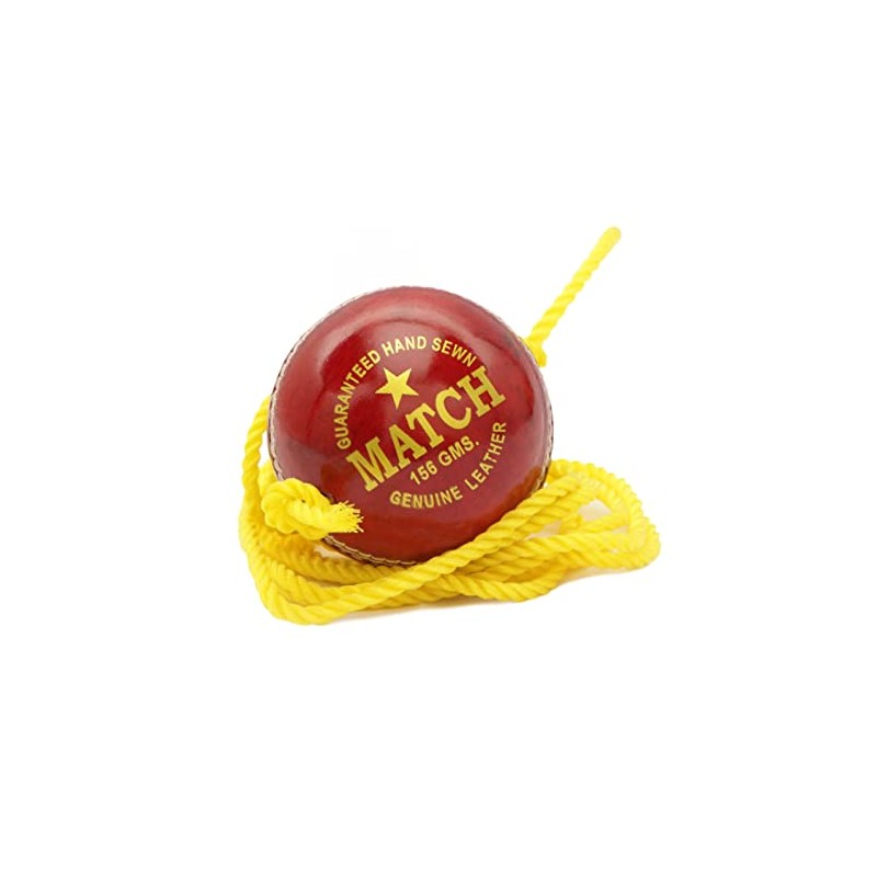 PSE Leather Practice Hanging Cricket Ball, Size Standard, (Red)