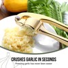 Drincarier Premium Garlic Press, Professional Garlic Mincer, Easy to Squeeze