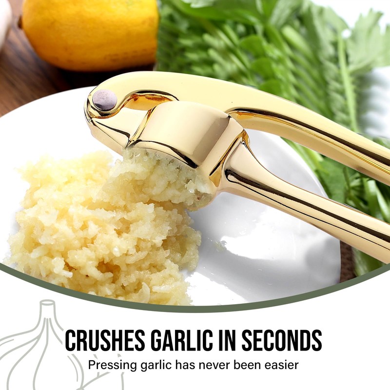 Drincarier Premium Garlic Press, Professional Garlic Mincer, Easy to Squeeze
