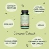Ceylon Cinnamon 2000mg Vegavero® | High Strength Extract (8:1) |