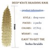 Ocean Wave Crochet Hair 24 Inch 2 Packs Deep Wave