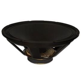 Goldwood Sound GW-1058 Pro 10" Woofer 50oz Magnet 280 Watts Replacement Speaker