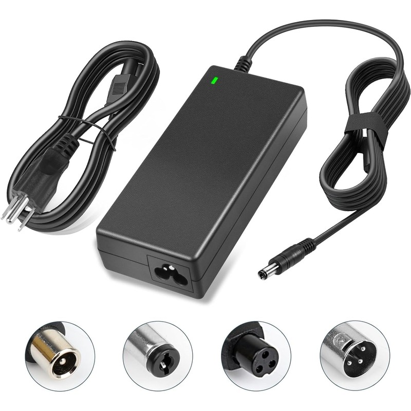 SGS Certified 42V 2A Scooter Charger with 5 Plugs Connections,