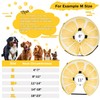 Cneo Inflatable Dog Cone Collar for Large Medium Small Dogs,