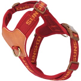 Jufoo Red Dog Harness for Small Dogs, No Pull Harness with 2 Leash Clips, Puppy Vest Small Sized Dog, Adjustable Soft Padded Light Dog Vest Harness (Red, M)