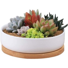 WEIYON-6.29 inchSucculent Planter Ceramic with Bamboo Tray, Modern White Ceramic Round Design for Succulent Planter Cactus Pots Decorative Flower Holder Bowl Basin,