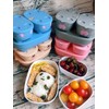 Prince Lionheart Bentomal Boxes | Cute Kids Lunch Boxes |