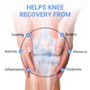 EDGE Mobility | Knee Terminator | Restore Knee Extension After