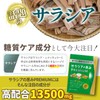 サラシアの恵みPREMIUM サラシア 13500㎎ 菊芋 春ウコン 桑の葉 乳酸菌 ナットウキナーゼ 90粒 30日分