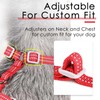ThinkPet Reflective Breathable Soft Air Mesh No Pull Puppy Choke