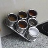 Titanium Especieros Magnéticos Acero Inoxidable 6 Piezas