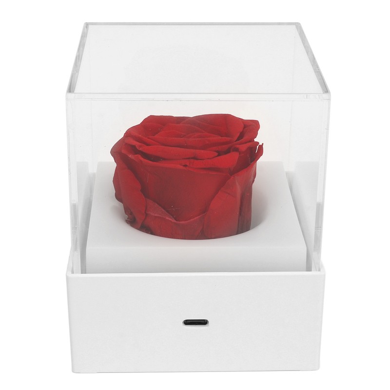 Rose Night Light Romantic Small USB Charging Soft Brightness Decoration