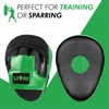 Lions Target Focus Pads - Martial Arts Punching Training Hand