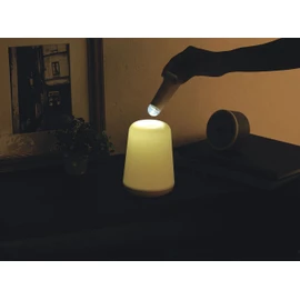 2-Way Decor Light 27725