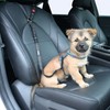 iMBG Dog Seat Belts for Car, Adjustable Nylon Restraint Car