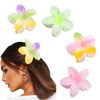 Zixrmor Pack of 4 Flower Hair Clips, Colour Hair Clips, Large Hair Clip, Flower for Thick Hair, Strong Hold Hair Clip, Flower Clip for Women, Gradient Colour Flowers Hair (Colour Gradient 2)