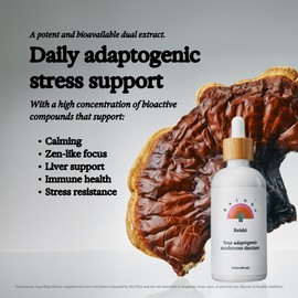Rainbo Reishi Mushroom Tincture, Dual Extract Reishi Tincture, Daily Mushroom Supplement for Immune Support & Longevity, Liquid Reishi Supplement, Vegan, Non GMO, 100ml