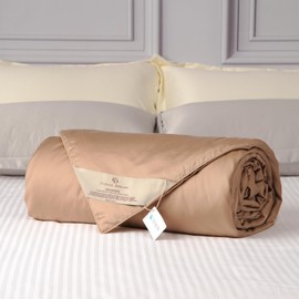 CUDDLE DREAMS Lightweight Silk Filled Comforter for Summer, Detachable Tencel Duvet Cover for Easy Care, Naturally Breathable & Cooling (Bronze, Queen)