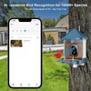 Bird Feeder with Camera, Smart AI Bird Identification & Solar