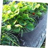 BIUDECO Pcs Strawberry Planting Brackets Plant Climbing Racks for Balcony