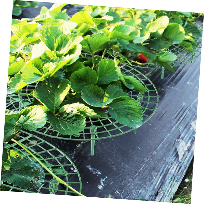 BIUDECO Pcs Strawberry Planting Brackets Plant Climbing Racks for Balcony