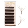 LASHVIEW W Lashes Extensions, 5D Premade Fans 0.07 D Curl