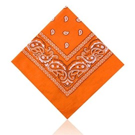Lizzy Paisley Multifunctional Bandana's Headwear Neckwear Neckerchief Cycling Cowboy Scarf Head Neck Gaiter - Mens Womens Multipack Assorted Men Hair Pirate Bandana (Orange)